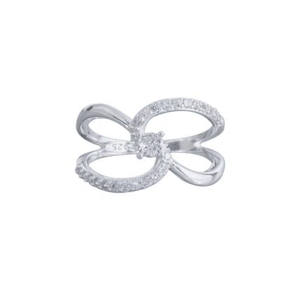 ANILLO conecte