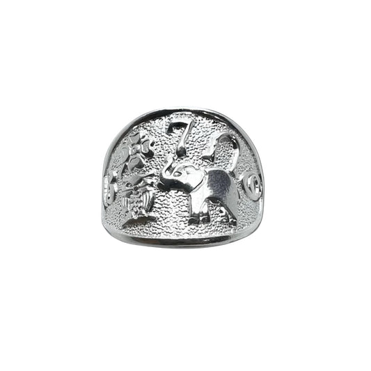 ANILLO DE LA SUERTE TOTAL