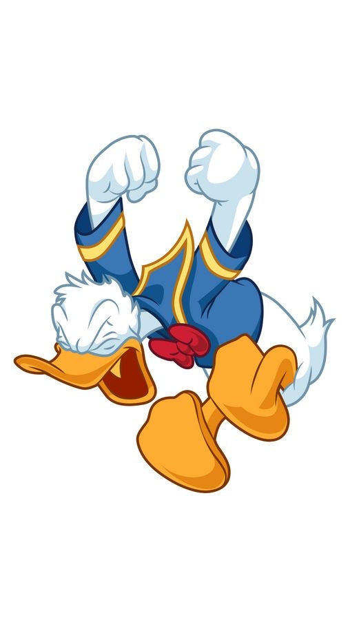 CHARM PATO DONALD